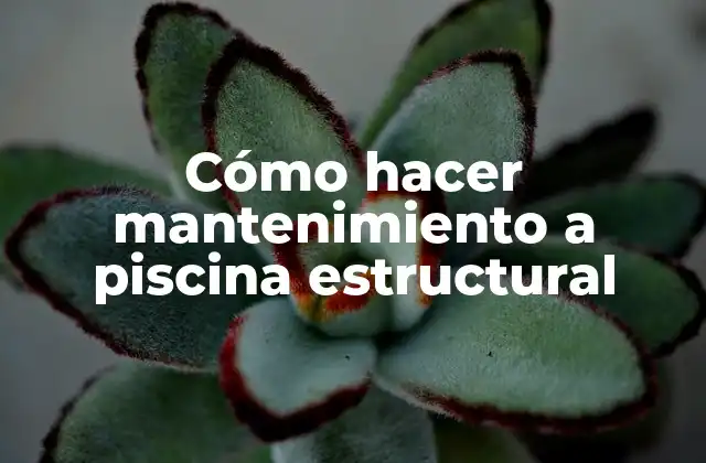 Cómo hacer mantenimiento a piscina estructural