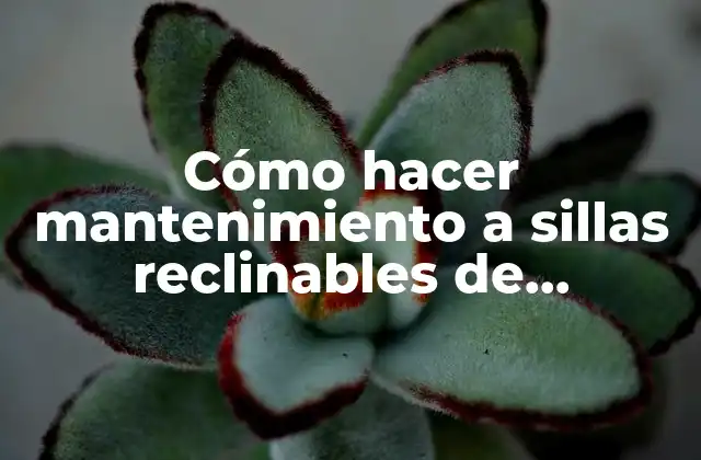 Cómo Hacer Mantenimiento a Sillas Reclinables de Odontología