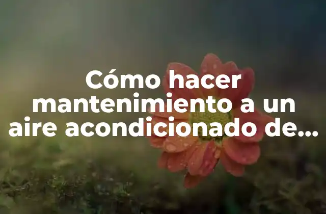 Cómo Hacer Mantenimiento a un Aire Acondicionado de Ventana Lg