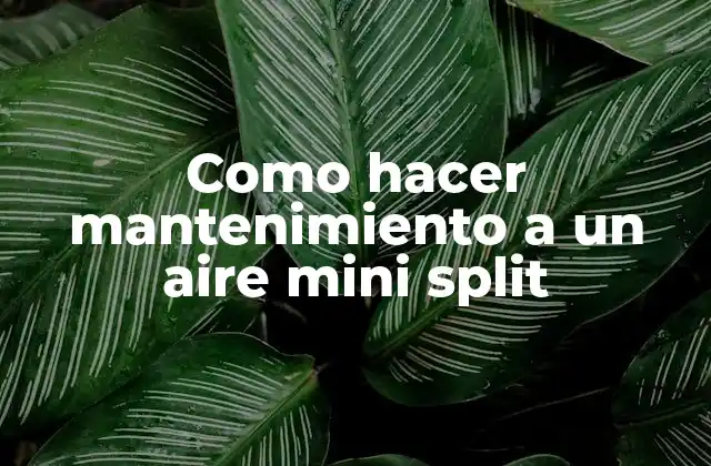 Como Hacer Mantenimiento a un Aire Mini Split