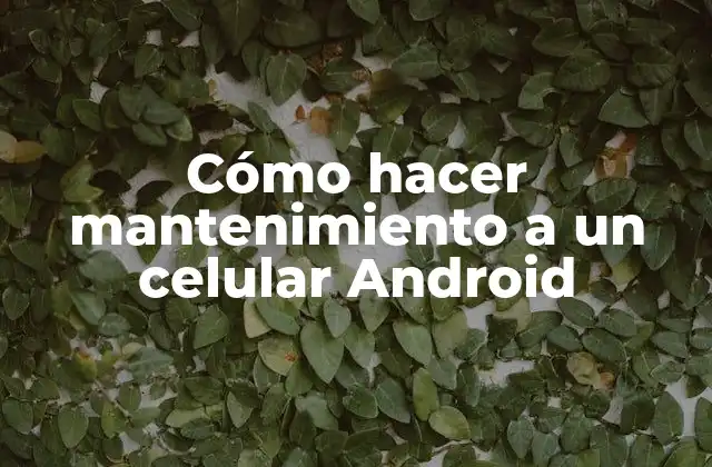 Cómo Hacer Mantenimiento a un Celular Android