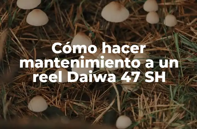 Cómo Hacer Mantenimiento a un Reel Daiwa 47 Sh