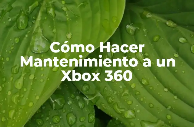 Cómo Hacer Mantenimiento a un Xbox 360