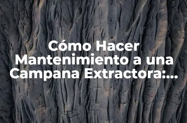 Cómo Hacer Mantenimiento a una Campana Extractora: Guía Completa