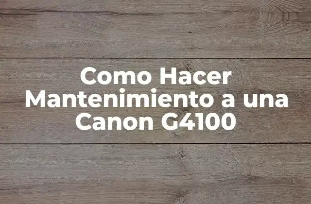 Como Hacer Mantenimiento a una Canon G4100