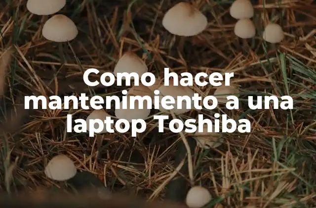 Como Hacer Mantenimiento a una Laptop Toshiba
