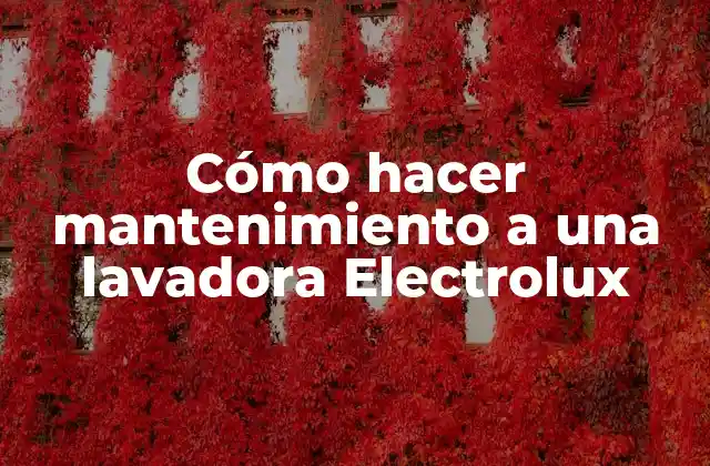 Cómo hacer mantenimiento a una lavadora Electrolux
