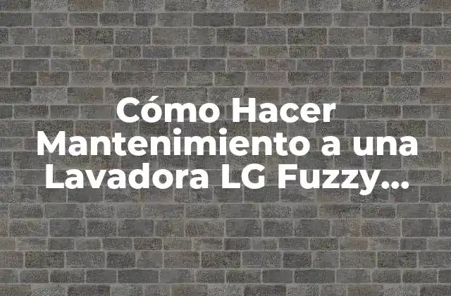 Cómo Hacer Mantenimiento a una Lavadora Lg Fuzzy Logic
