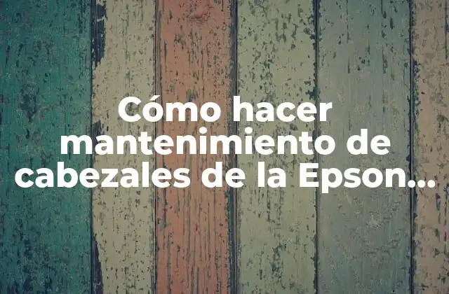 Cómo Hacer Mantenimiento de Cabezales de la Epson L220