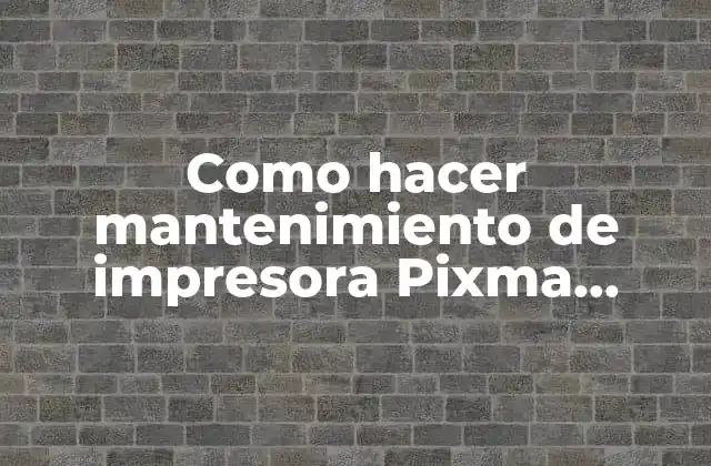 Como Hacer Mantenimiento de Impresora Pixma Mp280 de Tinta Continua