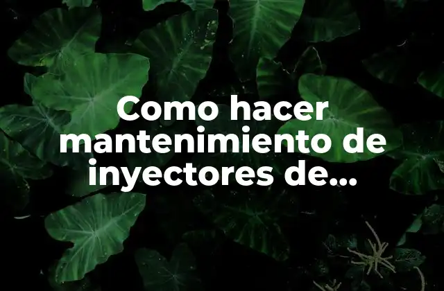 Como Hacer Mantenimiento de Inyectores de Impresora Canon Mp140