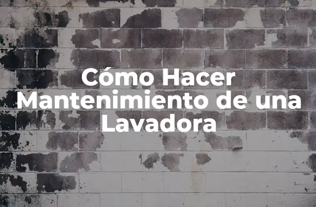 Cómo Hacer Mantenimiento de una Lavadora