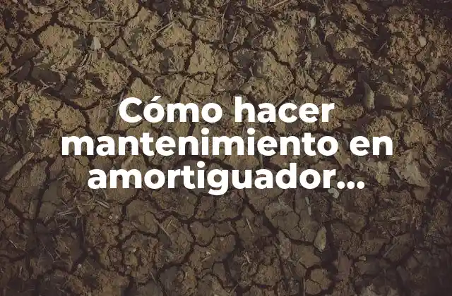Cómo Hacer Mantenimiento en Amortiguador Delantero y Cambios de Aceites