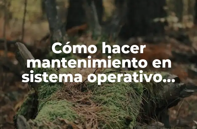 Cómo Hacer Mantenimiento en Sistema Operativo Windows 10