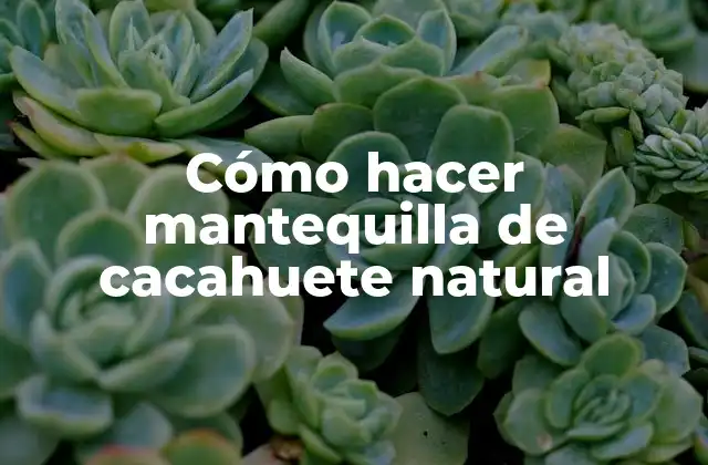 ¿Qué es la mantequilla de cacahuete natural y para qué sirve?