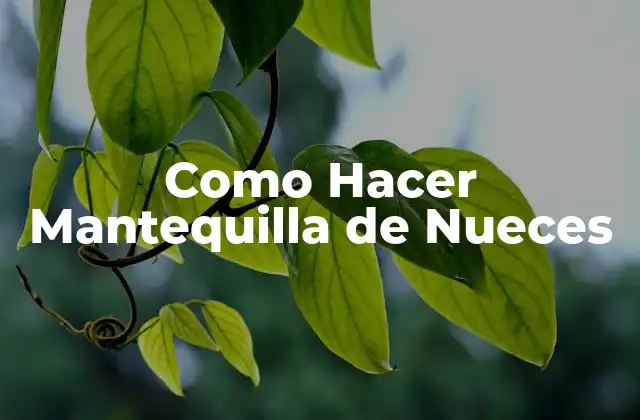 Como Hacer Mantequilla de Nueces
