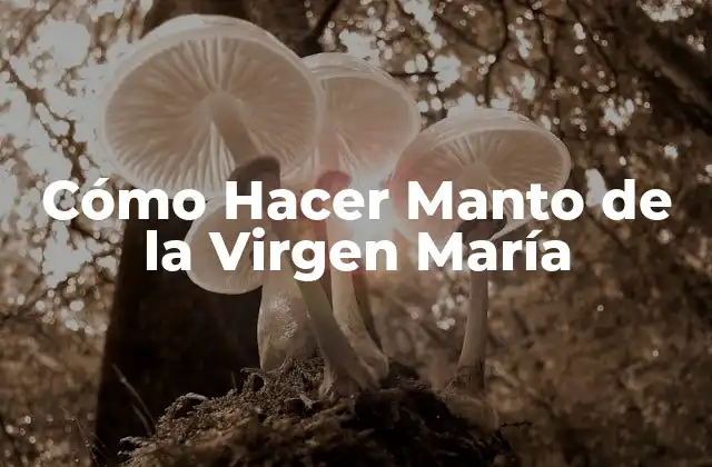 Cómo Hacer Manto de la Virgen María