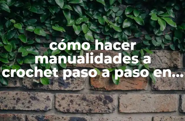 Cómo Hacer Manualidades a Crochet Paso a Paso en Español