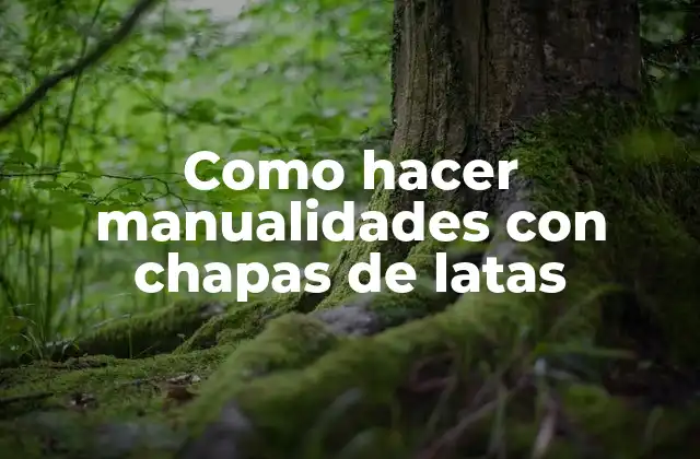 Manualidades con chapas de latas