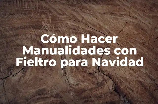 Cómo Hacer Manualidades con Fieltro para Navidad