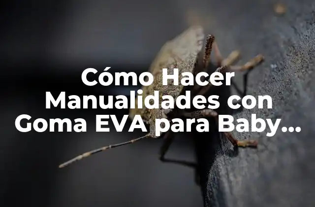 Cómo Hacer Manualidades con Goma Eva para Baby Shower