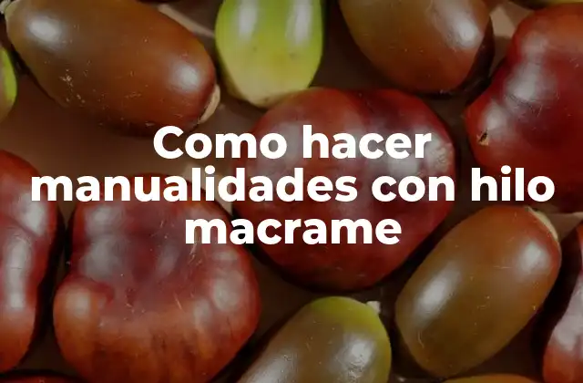 Como Hacer Manualidades con Hilo Macrame