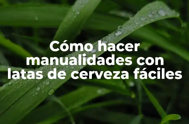 Cómo Hacer Manualidades con Latas de Cerveza Fáciles