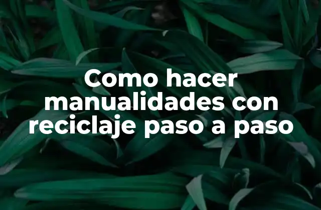 Como Hacer Manualidades con Reciclaje Paso a Paso