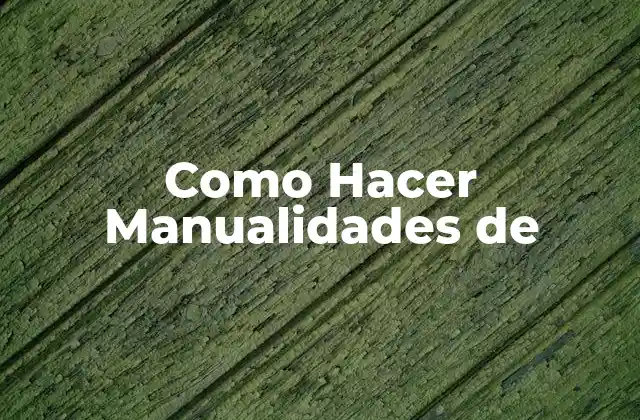 ¿Qué son las Manualidades?