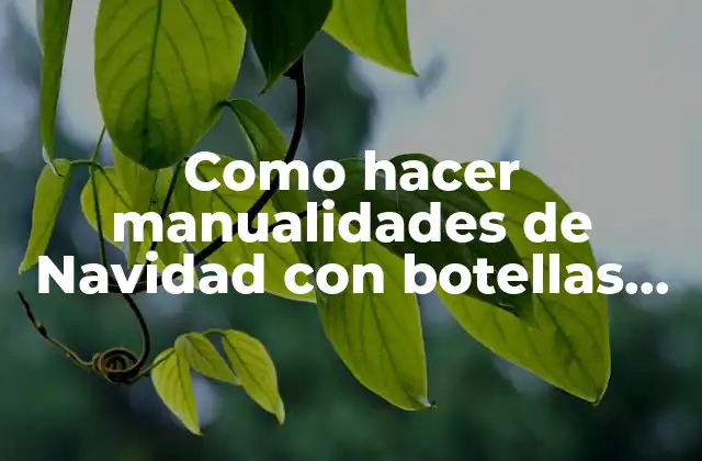 Como Hacer Manualidades de Navidad con Botellas de Plástico 2 ¿Qué son las manualidades de Navidad con botellas de plástico?