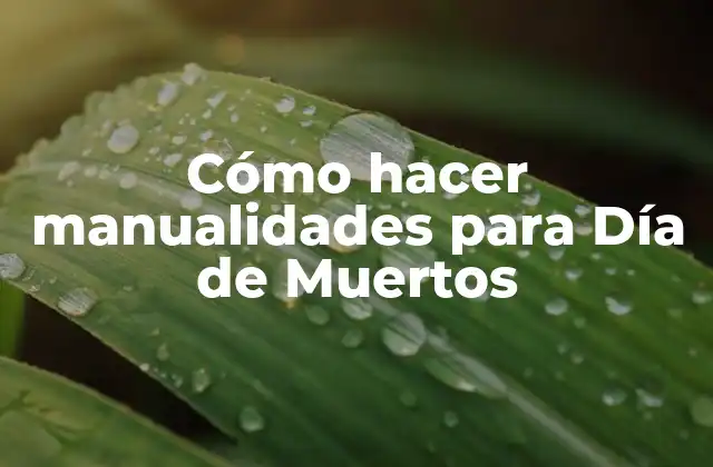 Cómo Hacer Manualidades para Día de Muertos