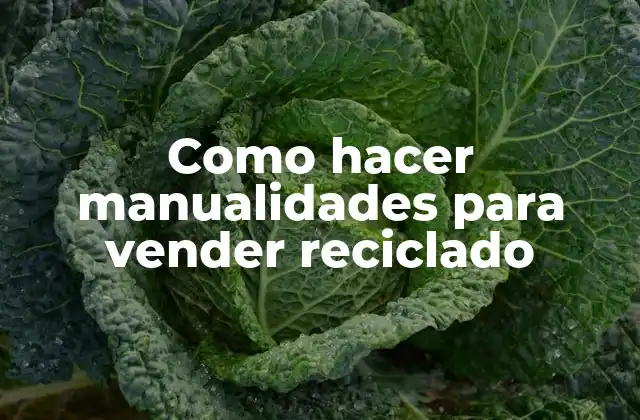 Como Hacer Manualidades para Vender Reciclado