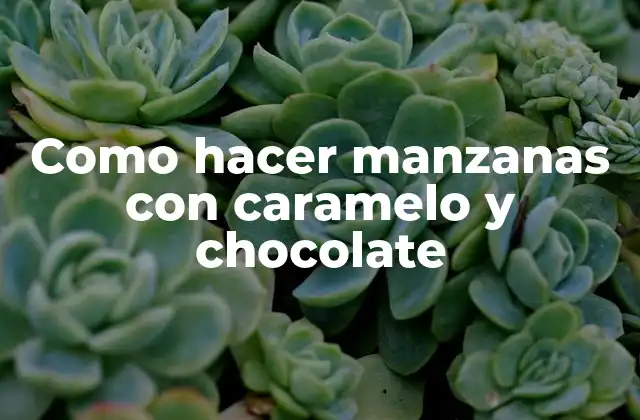 Como Hacer Manzanas con Caramelo y Chocolate