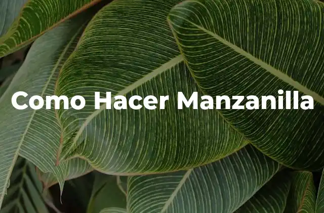 Como Hacer Manzanilla