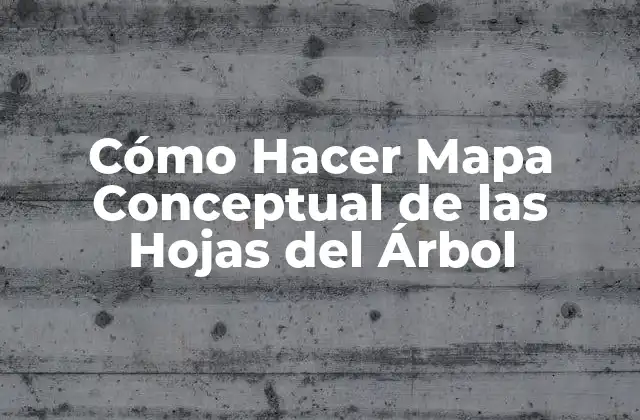 Cómo Hacer Mapa Conceptual de las Hojas Del Árbol
