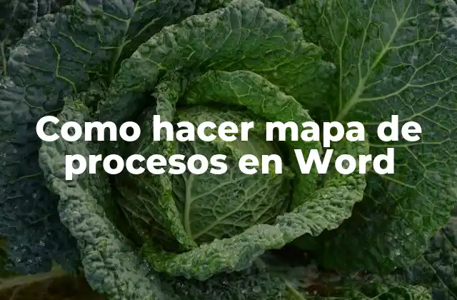Como Hacer Mapa de Procesos en Word