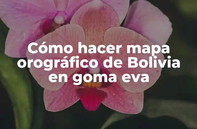 Cómo Hacer Mapa Orográfico de Bolivia en Goma Eva
