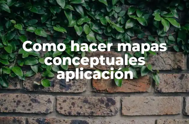 ¿Qué es un mapa conceptual en aplicación?