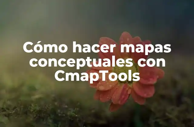 Cómo Hacer Mapas Conceptuales con Cmaptools