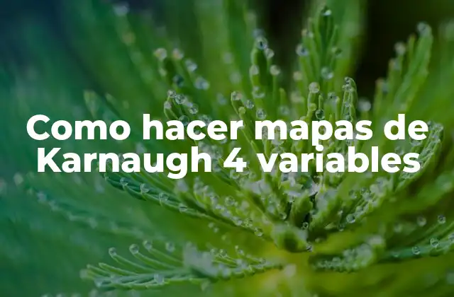 Como Hacer Mapas de Karnaugh 4 Variables