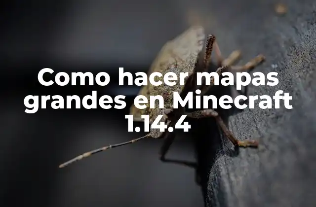 Como Hacer Mapas Grandes en Minecraft 1.14.4