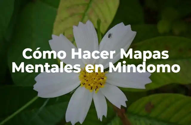 Cómo Hacer Mapas Mentales en Mindomo