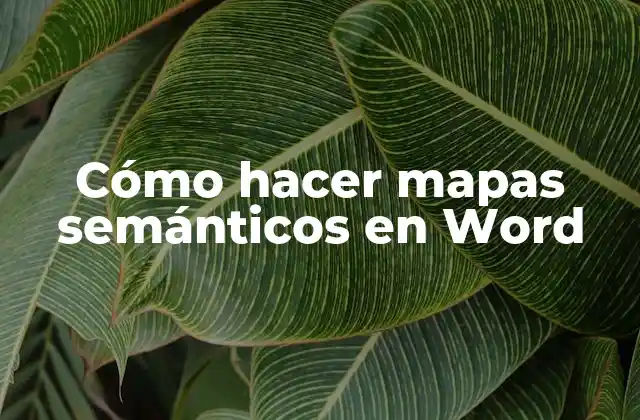 Cómo Hacer Mapas Semánticos en Word