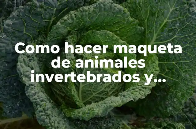 Como Hacer Maqueta de Animales Invertebrados y Vertebrados