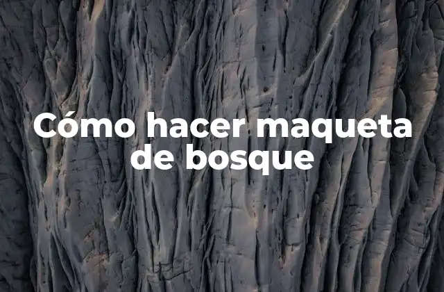 Cómo Hacer Maqueta de Bosque