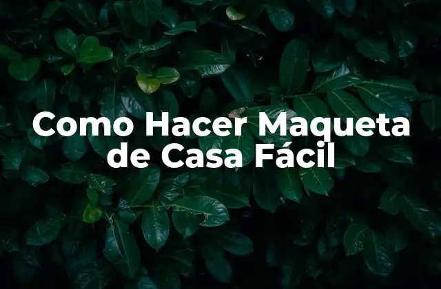 Como Hacer Maqueta de Casa Fácil