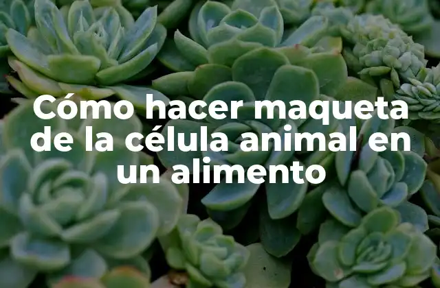 Cómo Hacer Maqueta de la Célula Animal en un Alimento