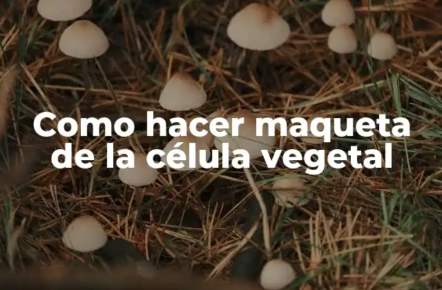 Como Hacer Maqueta de la Célula Vegetal