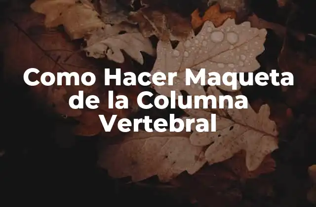 Como Hacer Maqueta de la Columna Vertebral