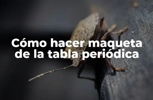 Cómo Hacer Maqueta de la Tabla Periódica